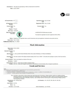 Quantas patentes e marcas registradas vocês possuem para as principais tecnologias de laser de CO2 e para a marca? 3 eco2 Laser 美国注册证1